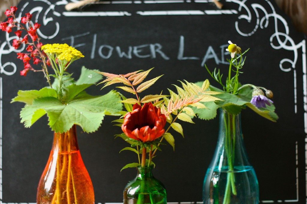 flower lab 1