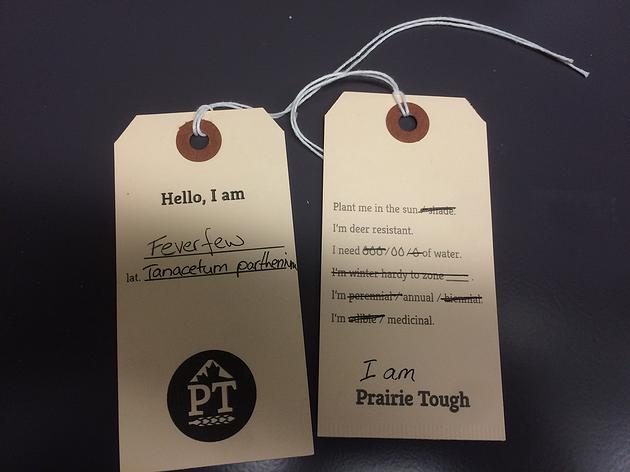 plant tags