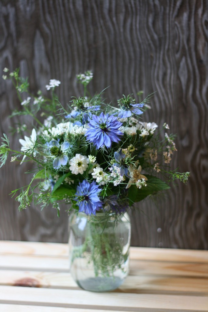white blue md