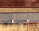 cropped-header-ptf.jpg