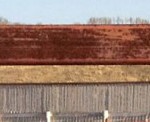 cropped-header-ptf2.jpg