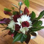 flowers 02
