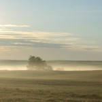 fog