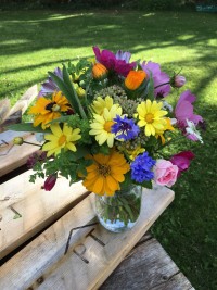 flowers