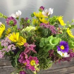 Photo 2017-09-04, 11 51 22 AM