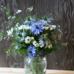 white blue md
