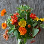 CSA August 1