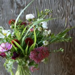 CSA September 1