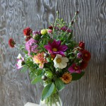 CSA September 2